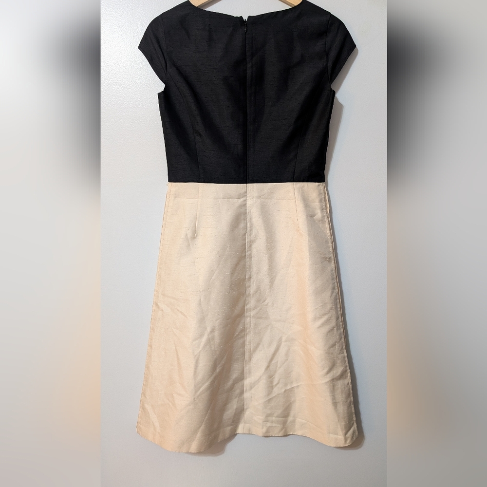 Timeless Black and Cream Women's Dress - Picture 4 of 6